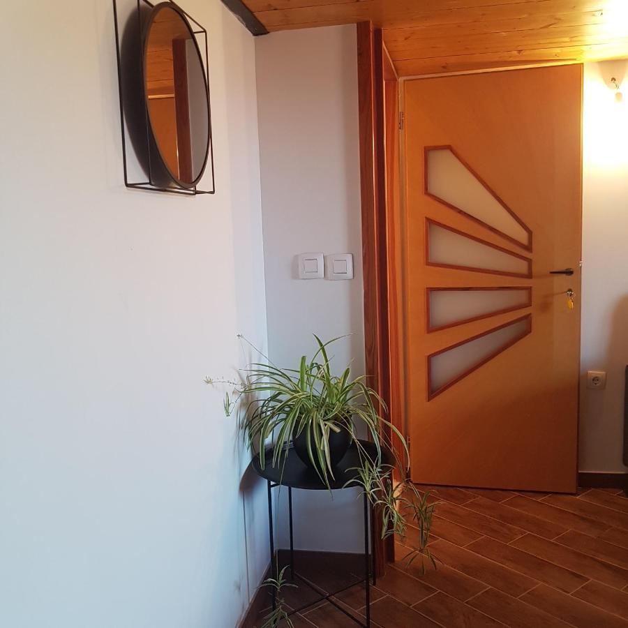 Jardin Kapetanova Kuca Apartamento Veli Iž Exterior foto