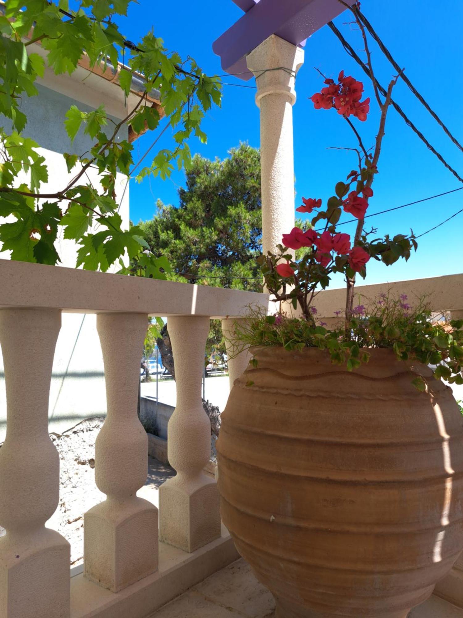 Jardin Kapetanova Kuca Apartamento Veli Iž Exterior foto