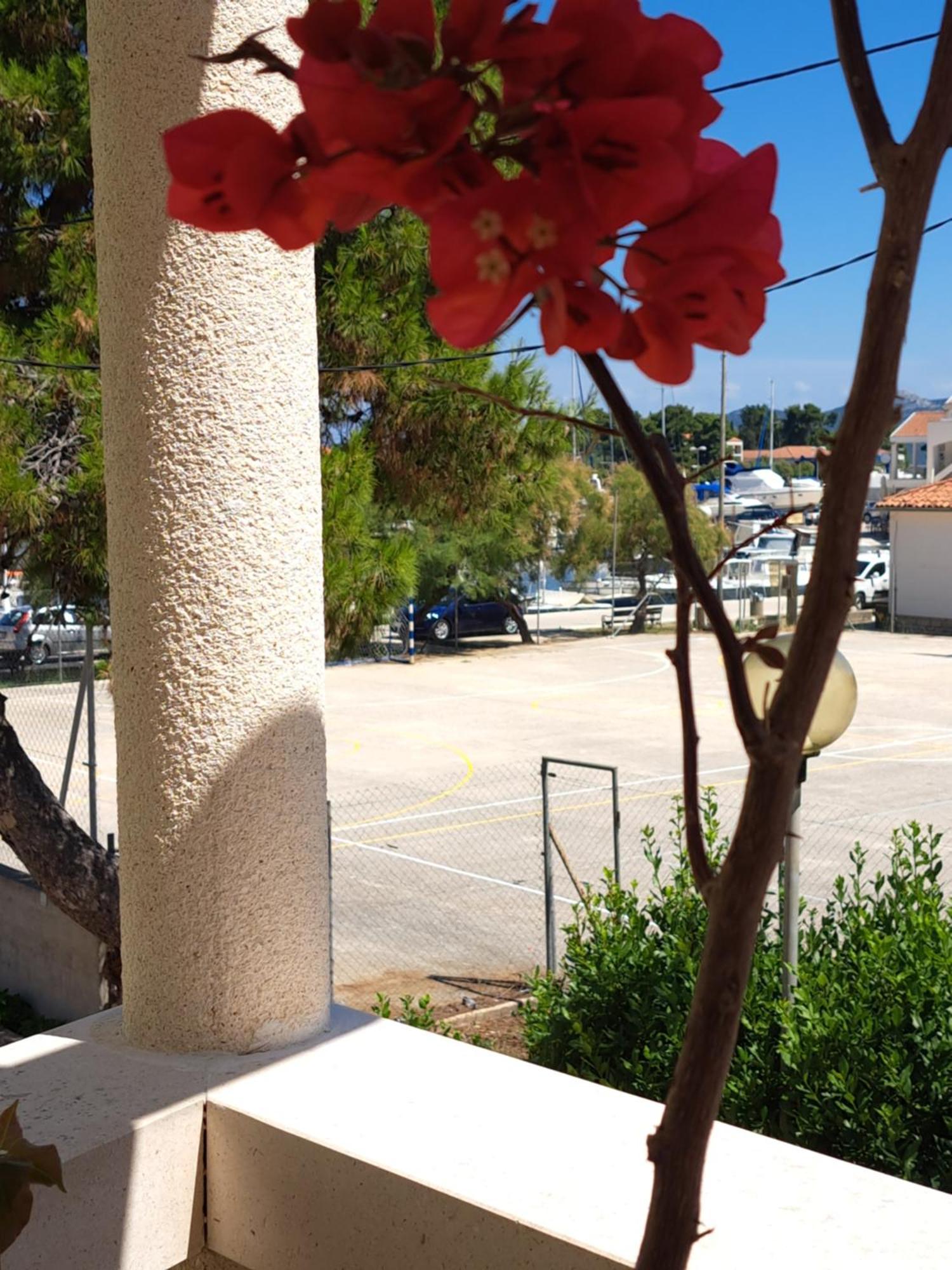 Jardin Kapetanova Kuca Apartamento Veli Iž Exterior foto
